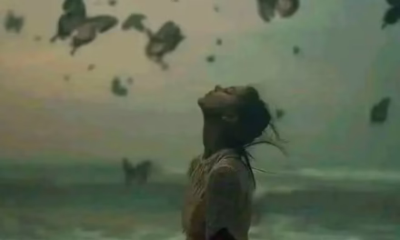 খুঁজে ফেরা
